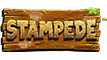 Stampede slot